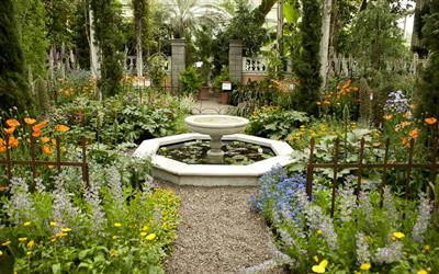 New York Botanical g